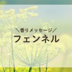 フェンネルの花の近景、香りメッセージ　フェンネルという文字が重ねられた画像