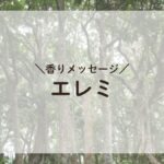 緑あふれるエレミの林の上に『香りメッセージ エレミ』の文字が載った画像。アロマセラピーの癒しを感じる自然の美しさ。