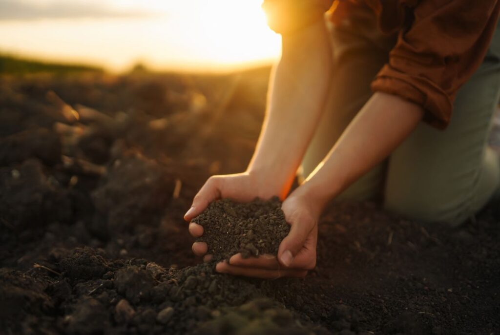 土に触れるスピリチュアルな意味とは？
