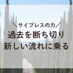 サイプレスの並木道、過去を断ち切り新しい流れに乗る