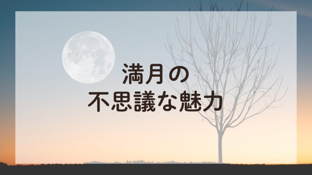 満月の風景とともにアロマセラピーを楽しむ、月の魅力に包まれた夜