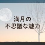 満月の風景とともにアロマセラピーを楽しむ、月の魅力に包まれた夜