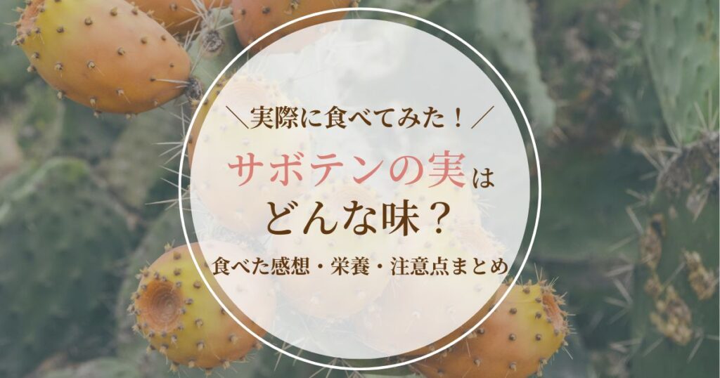 サボテンの実の味はどんな味?実際に食べてみた感想と栄養・注意点まとめ