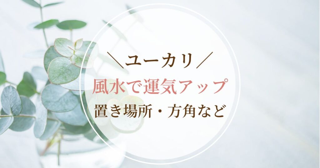 【ユーカリの木】風水で運気アップ!玄関やトイレ、方角別の飾る効果を解説