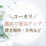 【ユーカリの木】風水で運気アップ！玄関やトイレ、方角別の飾る効果を解説