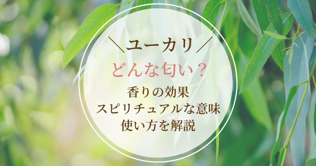 ユーカリはどんな匂い？香りの効果やスピリチュアルな意味、使い方を解説