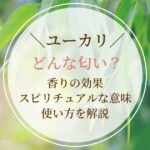 ユーカリはどんな匂い？香りの効果やスピリチュアルな意味、使い方を解説