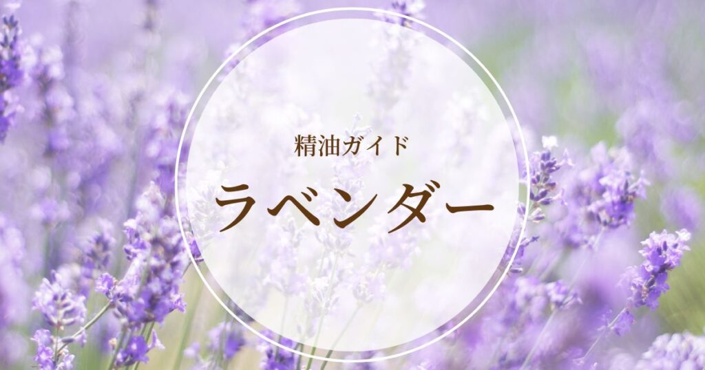 ラベンダー精油｜心と体への作用や使い方、禁忌・注意点ラベンダー