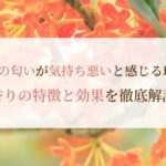 金木犀の匂いが気持ち悪いと言われる理由は？香りの特徴と効果を徹底解説