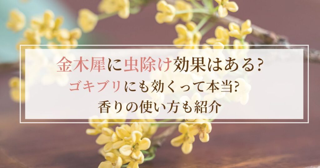 金木犀に虫除け効果はある?ゴキブリにも効くって本当?香りの使い方も紹介