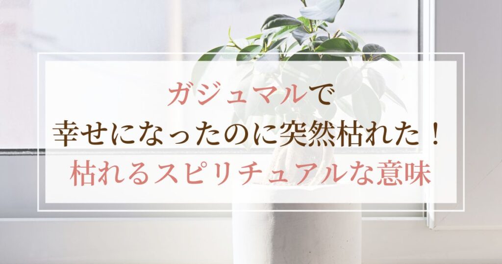 ガジュマルで幸せになったのに突然枯れた|枯れるスピリチュアルな意味とは?
