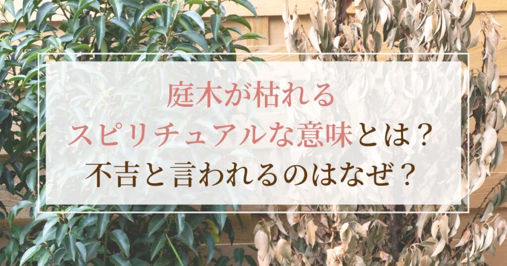 庭木が枯れるスピリチュアルな意味とは？不吉と言われる理由についても解説