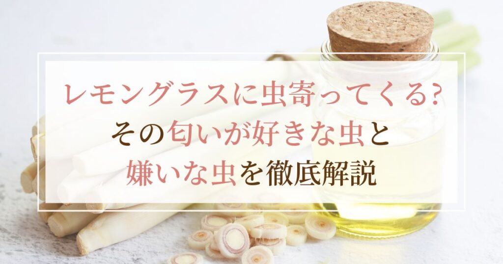 レモングラスに虫寄ってくる?その匂いが好きな虫と嫌いな虫を徹底解説