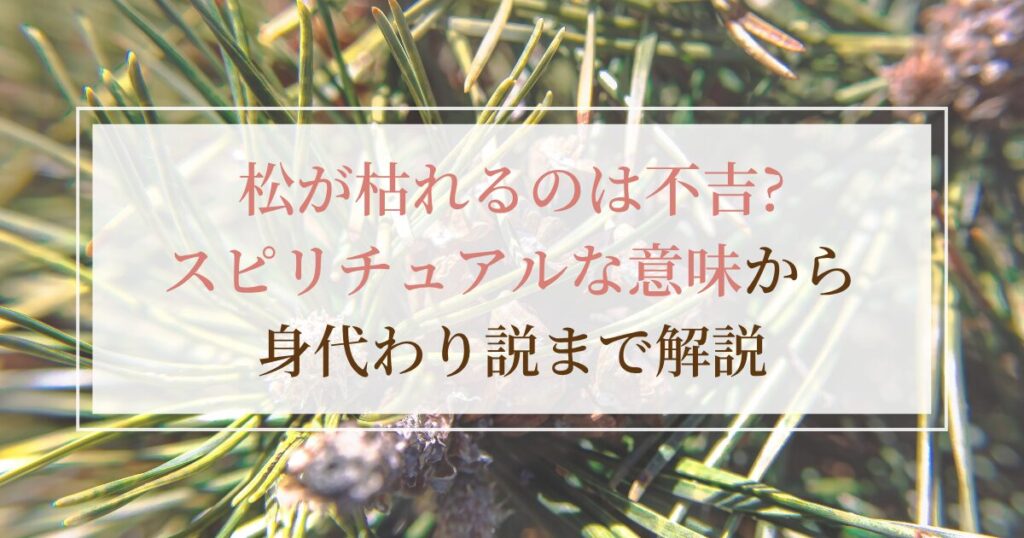 松が枯れるのは不吉？スピリチュアルな意味から身代わり説まで解説