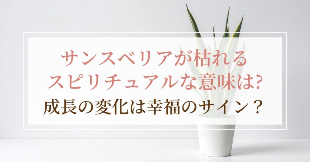 サンスベリアが枯れるスピリチュアルな意味は？成長の変化は幸福のサイン？